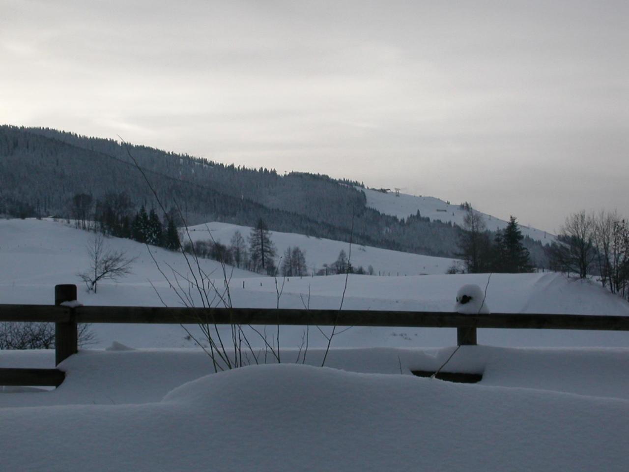 Gourmet-Hotel Gruenwald Leogang Exterior photo